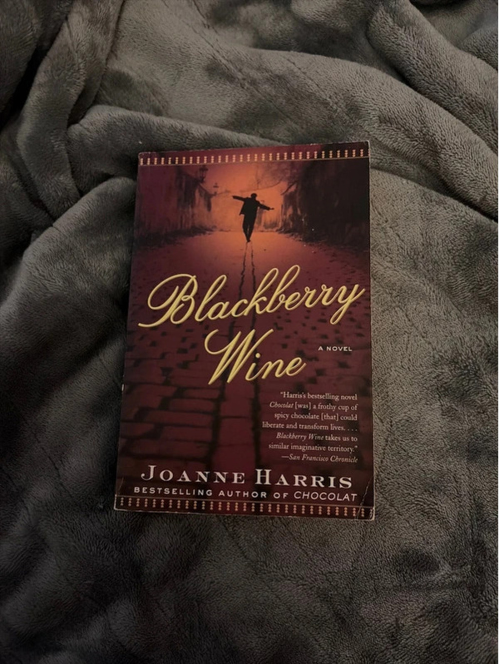 BlackBerry Wine by Joanna Harris